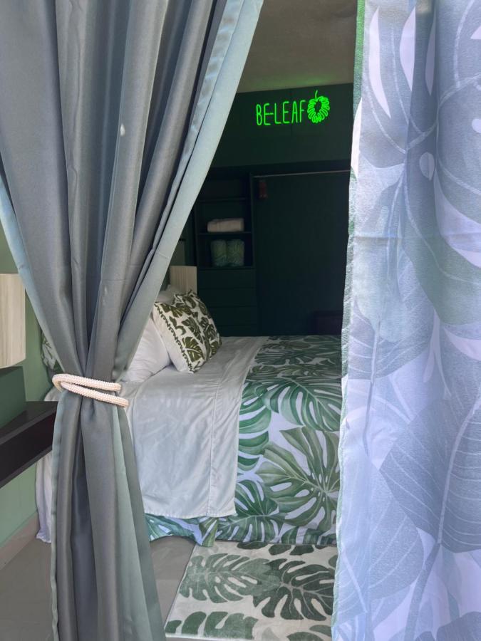 Dici Co-Living Housing Cabo San Lucas Bed & Breakfast Ngoại thất bức ảnh