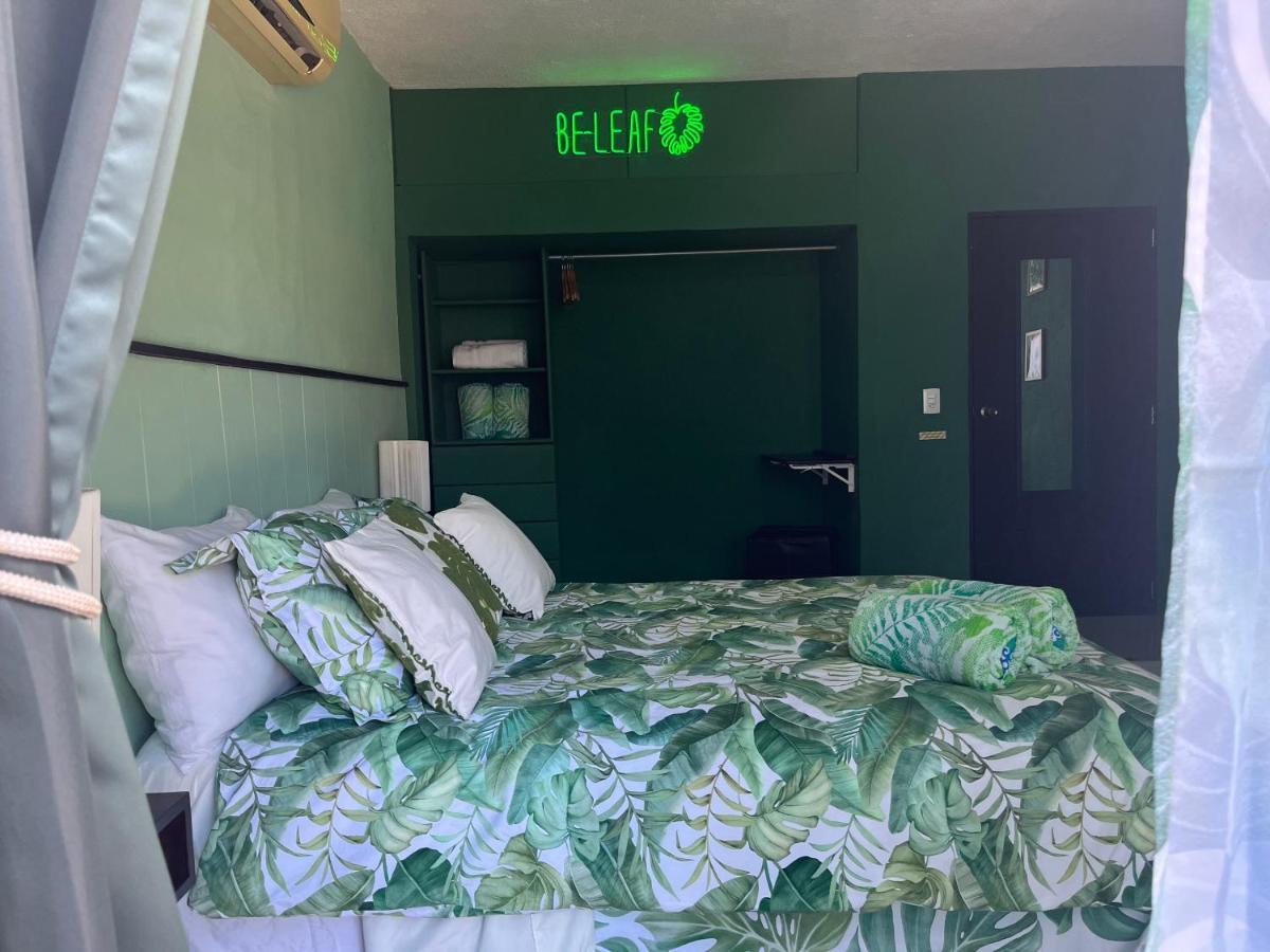 Dici Co-Living Housing Cabo San Lucas Bed & Breakfast Ngoại thất bức ảnh