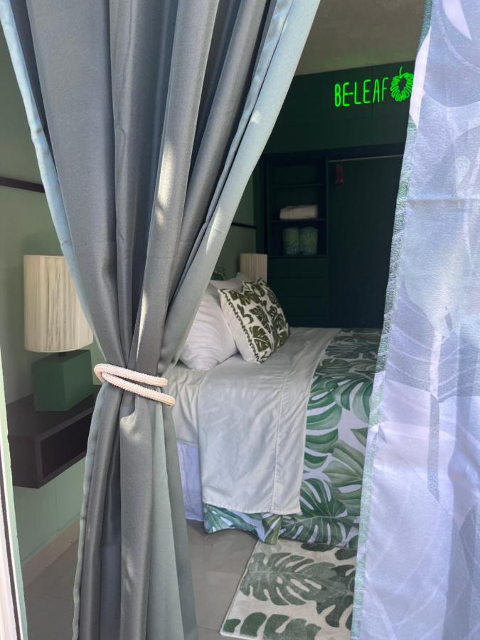 Dici Co-Living Housing Cabo San Lucas Bed & Breakfast Ngoại thất bức ảnh