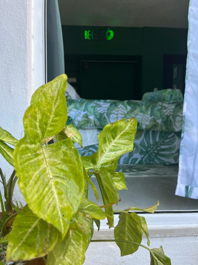 Dici Co-Living Housing Cabo San Lucas Bed & Breakfast Ngoại thất bức ảnh