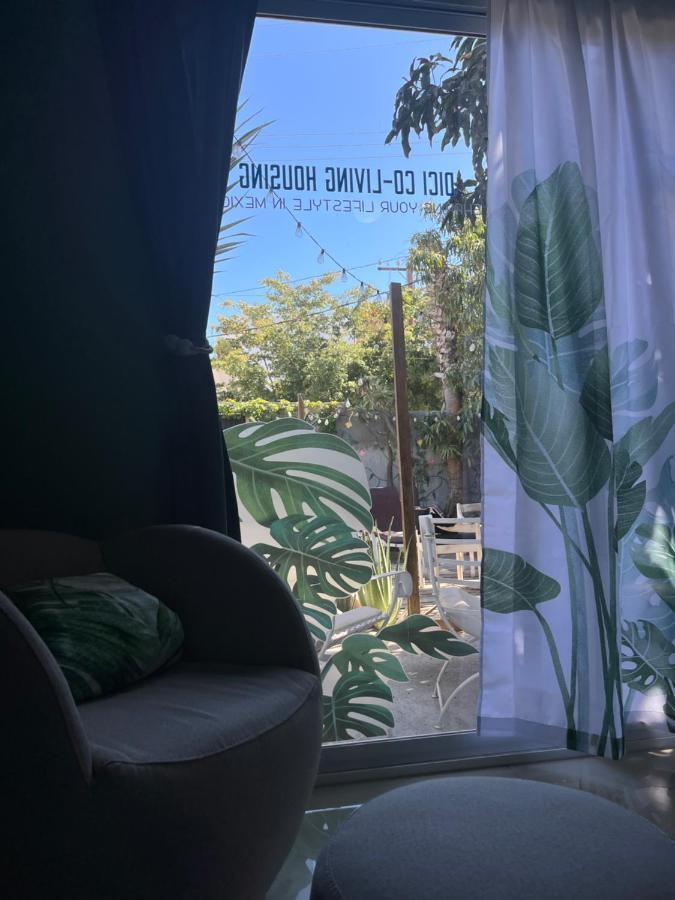 Dici Co-Living Housing Cabo San Lucas Bed & Breakfast Ngoại thất bức ảnh
