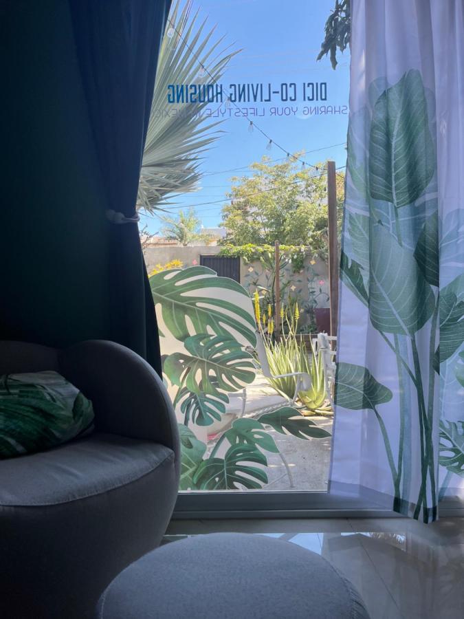 Dici Co-Living Housing Cabo San Lucas Bed & Breakfast Ngoại thất bức ảnh